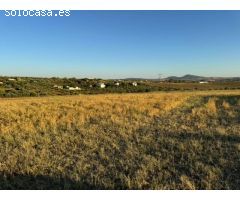 CASABANCO VENDE FINCA RÚSTICA EN CAMINO VALLE DE LA HIGUERA (MÉRIDA).