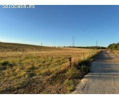 CASABANCO VENDE FINCA RÚSTICA EN CAMINO VALLE DE LA HIGUERA (MÉRIDA).