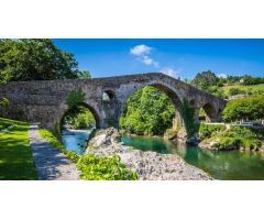 VENTA DE HOTEL CERCA DE COVADONGA