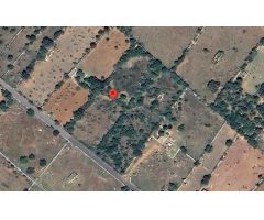 ¡Oportunidad! Terreno agrícola en Santa Margalida – 10.500 m²