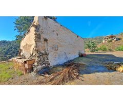 Finca rustica entre Torrox y Frigiliana con apero, casa, aljibe y plantación.