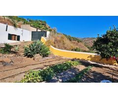 Finca rustica entre Torrox y Frigiliana con apero, casa, aljibe y plantación.