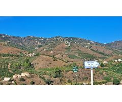 Finca rustica entre Torrox y Frigiliana con apero, casa, aljibe y plantación.