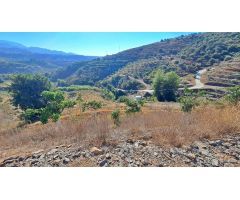 Finca rustica entre Torrox y Frigiliana con apero, casa, aljibe y plantación.