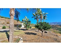 Finca rustica entre Torrox y Frigiliana con apero, casa, aljibe y plantación.