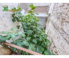 Casa adosada en venta en Padul