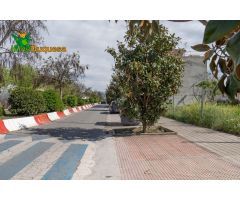 Magnífico solar de 416 m2 destinado a viviendas de Uso Residencial Unifamiliar en Santa Fe