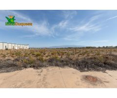 TERRENO INDUSTRIALES EN ESCUZAR