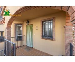Pareada a la entrada de Gójar