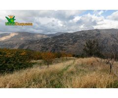 OPORTUNIDAD UNICA EN GUEJAR SIERRA!!!!