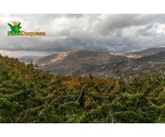 OPORTUNIDAD UNICA EN GUEJAR SIERRA!!!!