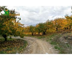 OPORTUNIDAD UNICA EN GUEJAR SIERRA!!!!