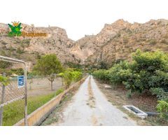 FINCA DE AGUACATES EN VELEZ DE BENAUDALLA