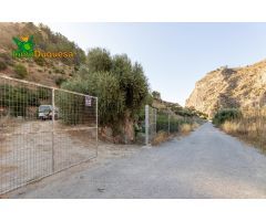 PARAISO TROPICAL EN VELEZ DE BENAUDALLA