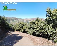 Terreno Rústico en Venta en Almuñécar, Granada