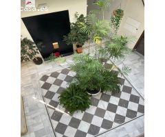 APARTAMENTO EN CALLE LUJA
