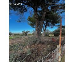 PARCELA UBICADA ZONA LA COLINA