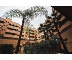 MAGNIFICA VIVIENDA, SITUADA EN AVDA. CAÑITO BAZAN. 3 DORMITORIOS, 2 BAÑOS, COCHERA, TRAST y PISCINA.