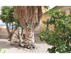 CHALET CON 3 PARCELAS EN BOLNUEVO