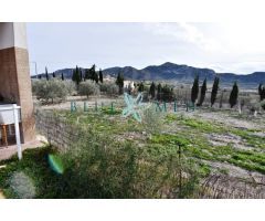 FINCA CON CASA GRANDE, PARCELA Y ARBOLES FRUTALES