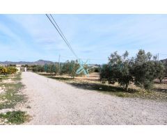 FINCA CON CASA GRANDE, PARCELA Y ARBOLES FRUTALES
