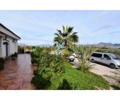 FINCA CON CASA GRANDE, PARCELA Y ARBOLES FRUTALES