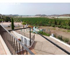 Enorme bonita finca rustica equipada para caballos, ¡con 1552m2 de construcciones!