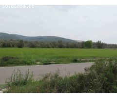 Finca rústica de 20.000 m2, de regadio. A 3 km de Ulldecona