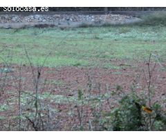 Finca rústica de 4.000 m2, zona agraria, de regadio. cerca de la población