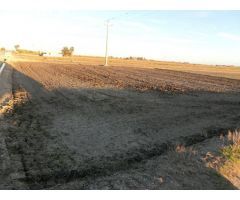 Finca de arroz de 52 jornales. A 3 km de la población, en pleno rendimiento