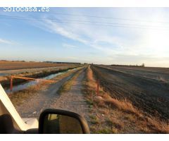 Finca de arroz de 52 jornales. A 3 km de la población, en pleno rendimiento