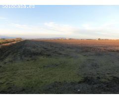 Finca de arroz de 52 jornales. A 3 km de la población, en pleno rendimiento