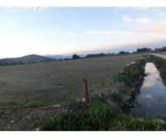 Finca de arroz de 52 jornales. A 3 km de la población, en pleno rendimiento