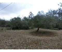 Sant Carles de la Rapita, Poligono  El Salt. Parcela de 11.700 m2. Precio negociable!