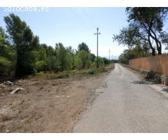 Finca rústica de 15.000 m2.