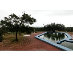 Finca rústica de 27.000 m2 con caseta y almacén.