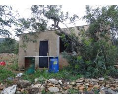 Finca Rústica de 22.052 m2 en plena producción.