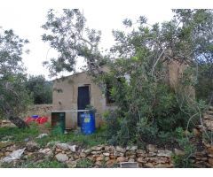 Finca Rústica de 22.052 m2 en plena producción.