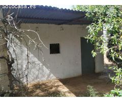 FINCA RÚSTICA DE REGADíO CON OLIVOS