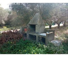 FINCA RÚSTICA DE REGADíO CON OLIVOS