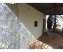 FINCA RÚSTICA DE REGADíO CON OLIVOS