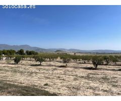 Terreno rústico en venta en Moratalla