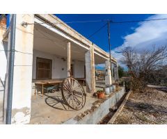 Finca de regadío en Fortuna – Paraje Cueva Negra ????
