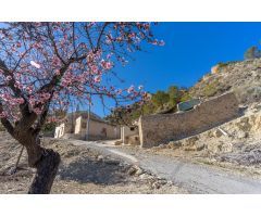 Casa de campo para reformar en el Valle de Ricote – Paraje Las Lomas