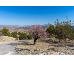 Casa de campo para reformar en el Valle de Ricote – Paraje Las Lomas