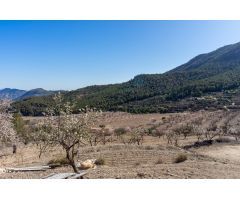 Casa de campo para reformar en el Valle de Ricote – Paraje Las Lomas