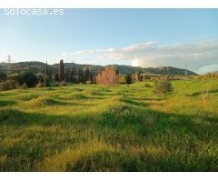 Terreno de regadío en Campanillas, Málaga