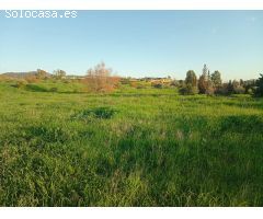 Terreno de regadío en Campanillas, Málaga
