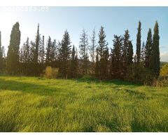 Terreno de regadío en Campanillas, Málaga
