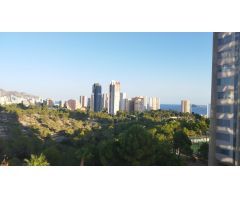 PISO EN ALQUILER EN VIA PARQUE EN BENIDORM